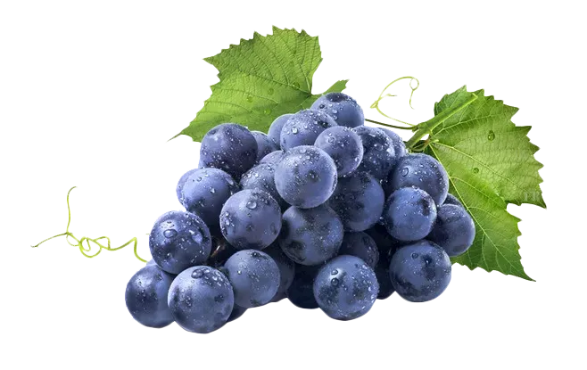 raisins-de-cuve-de-qualite-superieure